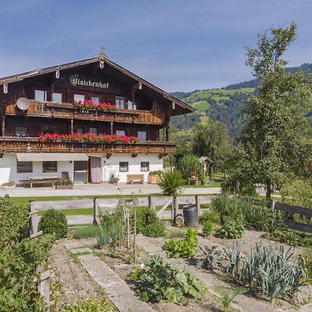 Apartamento Anna Maria Hopfgarten im Brixental Exterior foto